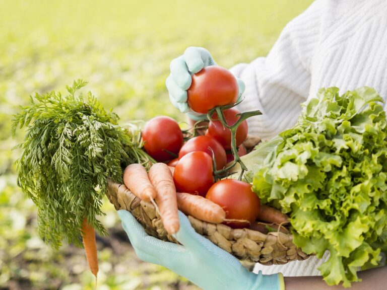 Woman holding basket full vegetables close up