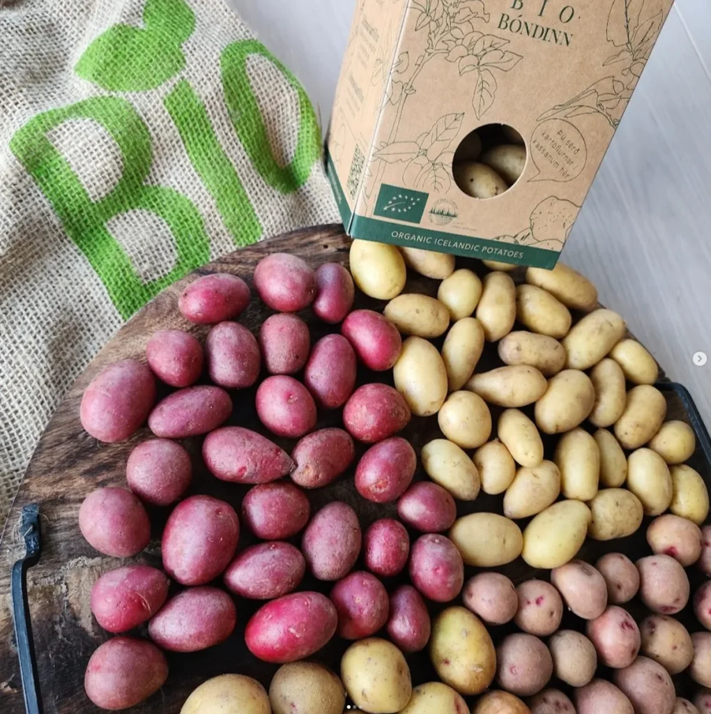 Kartoflur biobondi1.png