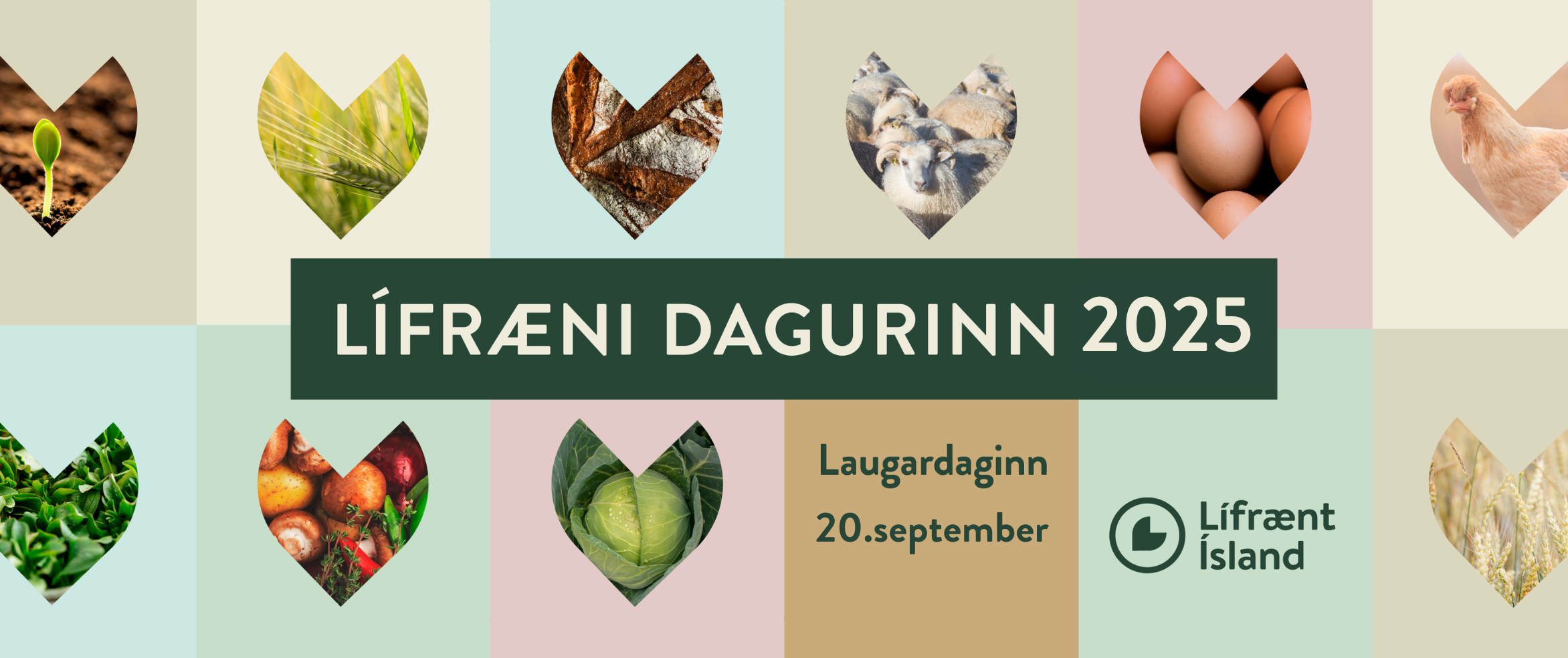 Untitled (750 x 315 px) (5)