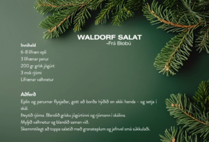 Skærmbillede 2025 12 19 kl. 09.35.44