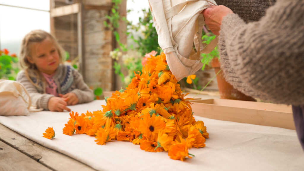 Yrkja góð skot.00 14 22 02.still011