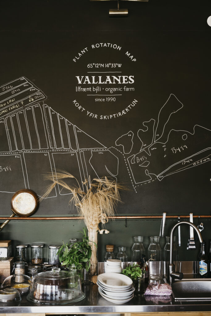 Oostijsland columbustravel sabrinagaudio edited 107