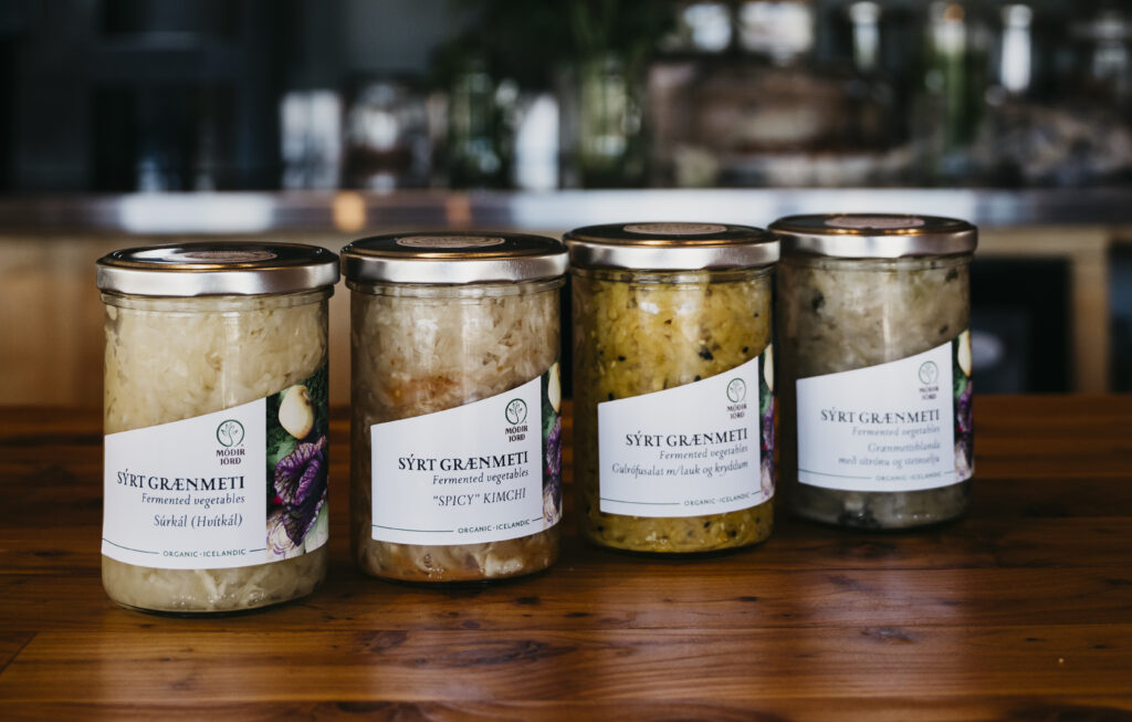 Oostijsland columbustravel sabrinagaudio edited 134