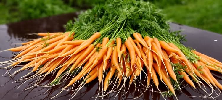 Messenger creation 359151975749320