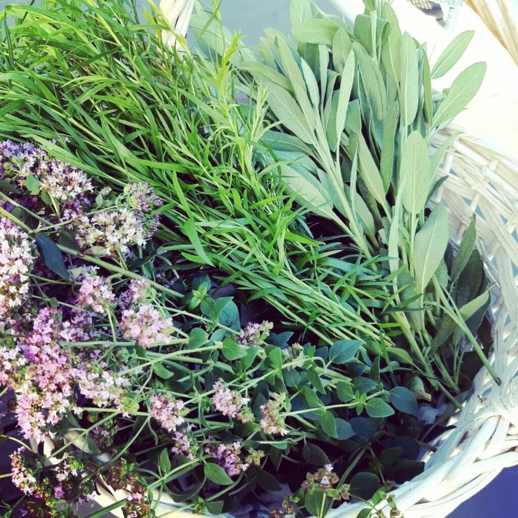 Móðir jörð 3 (1)