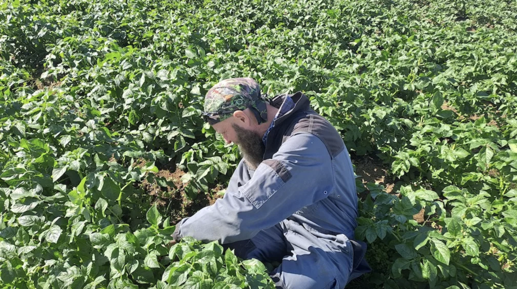 Screenshot 2025 08 25 at 14.19.55