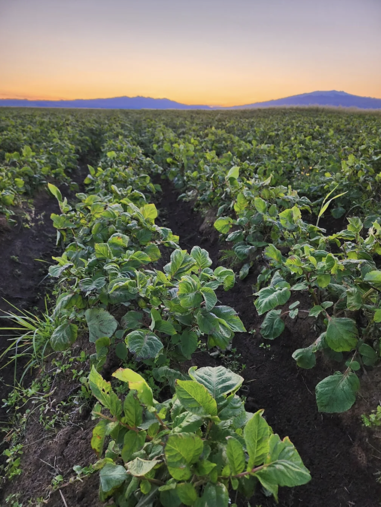 Screenshot 2025 08 25 at 14.20.31