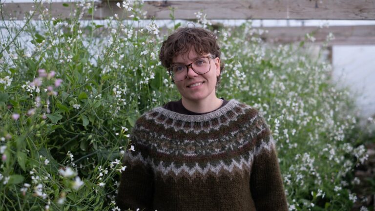 9c497912 4a4c 40f2 919e 3531795fe9f3