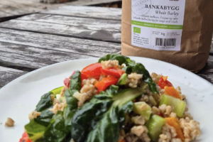 Skærmbillede 2025 11 05 kl. 14.34.00